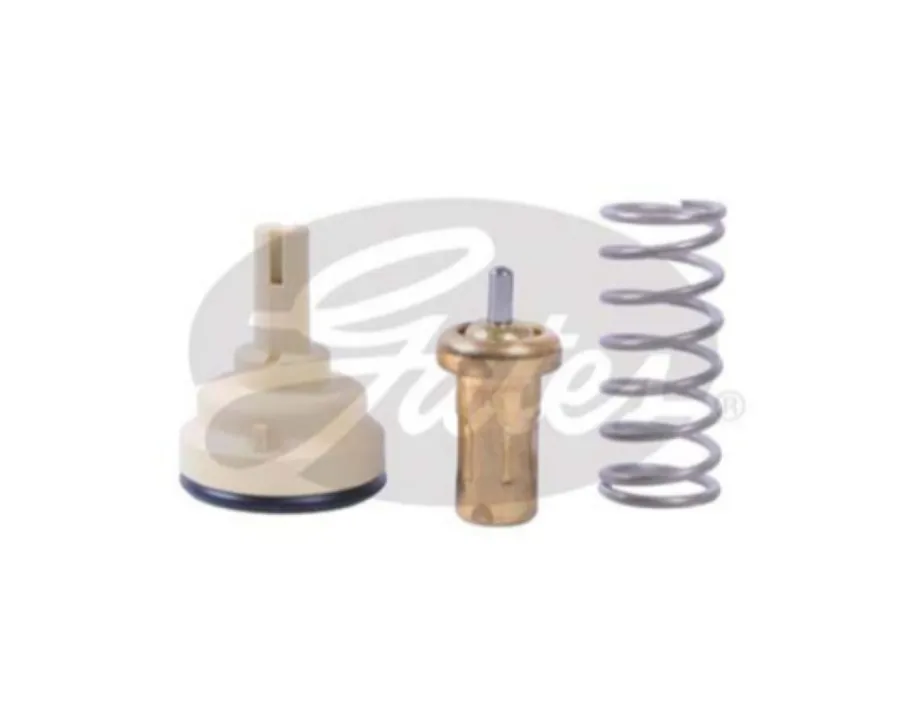 TERMOSTAT (95C-110C) VOLKSWAGAN GOLF-JETTA-POLO-TIGUAN - SEAT - SKODA   TH42695G1